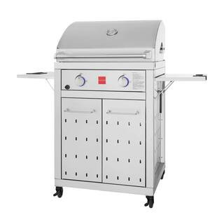 Premium 2-Burner Propane Gas Grill in Stainless Steel | The Home Depot