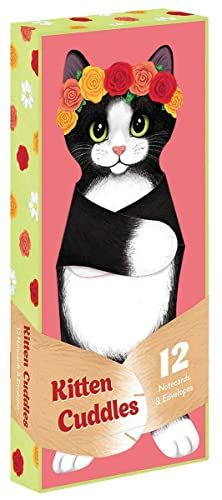 Kitten Cuddles Notecards (Unique Illustrated Cat Themed Greeting Cards for Friends and Family, St... | Amazon (US)