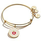 Alex and Ani Occasions Expandable Bangle for Women, Teacher Appreciation Charm, Shiny Gold Finish, 2 to 3.5 in | Amazon (US)