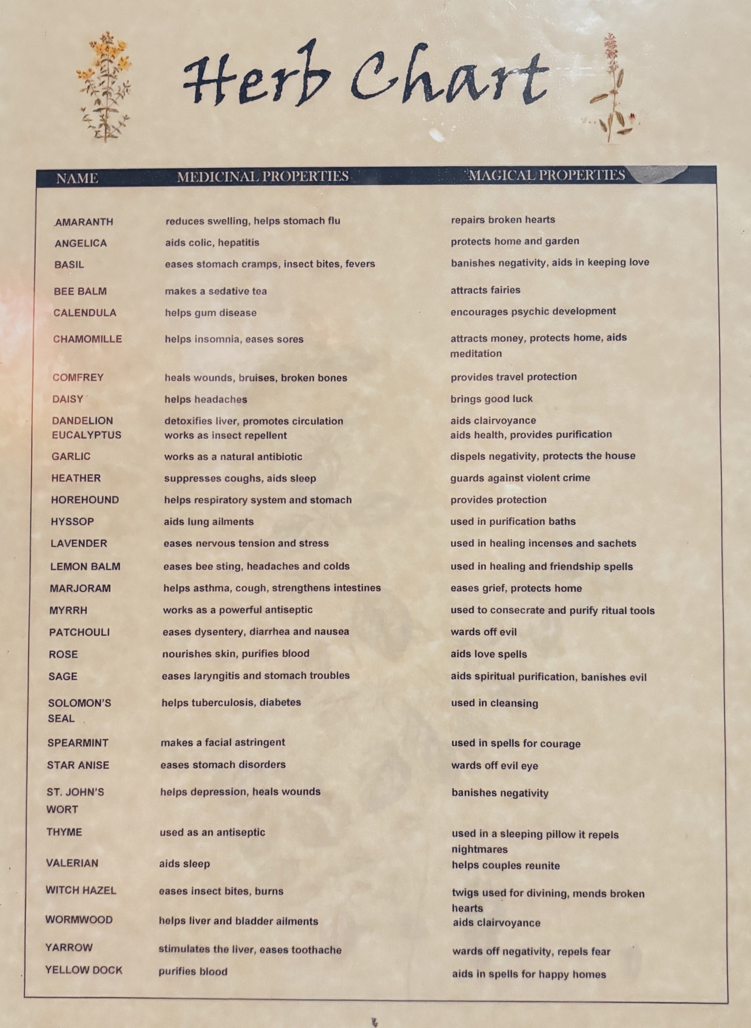 Herb chart 

#LTKHome