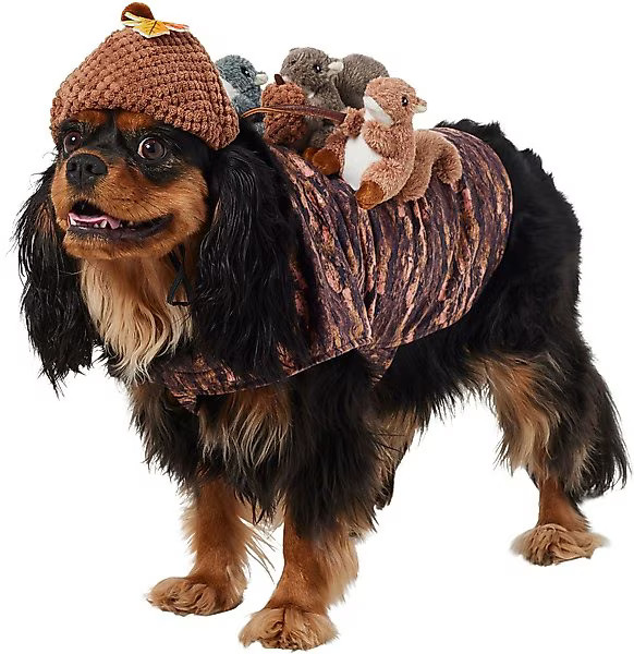 Frisco Squirrels & Nuts Ride-On Dog & Cat Costume | Chewy.com