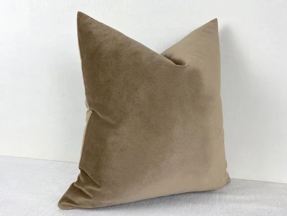 Brown Beige Velvet Pillow Cover Velvet Soft Throw Pillow | Etsy | Etsy (US)