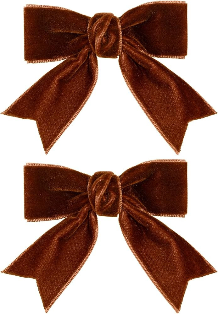 2pcs Brown Velvet Ribbon Hair Bows Clips for Girls Kids 3in Small Cute Soft Fall Velvet Alligator... | Amazon (US)