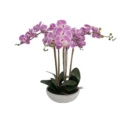allen + roth 23-in Green, Pink Indoor Artificial Orchid Flowers Lowes.com | Lowe's