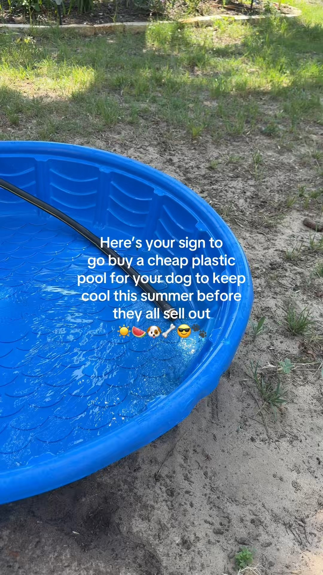 Don’t forget to buy that cheap plastic pool for your furry friend before they sell out! 