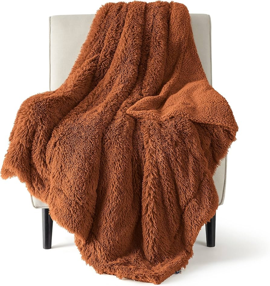 Bedsure Soft Burnt Orange Twin Blanket for Bed, Fluffy Fuzzy Blankets Twin Size for Couch, Sofa, ... | Amazon (US)