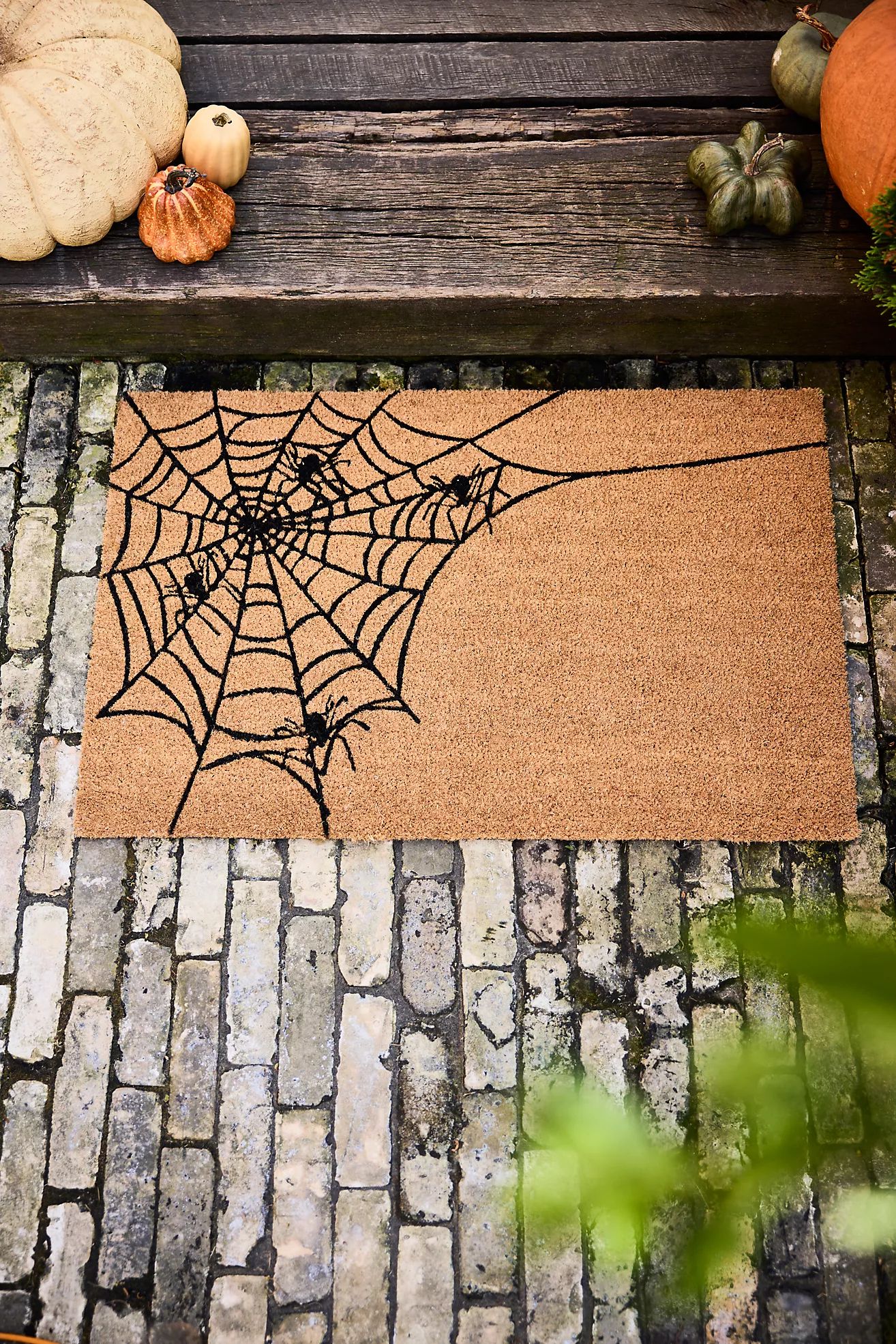 Spiderweb Coir Doormat | Anthropologie (US)