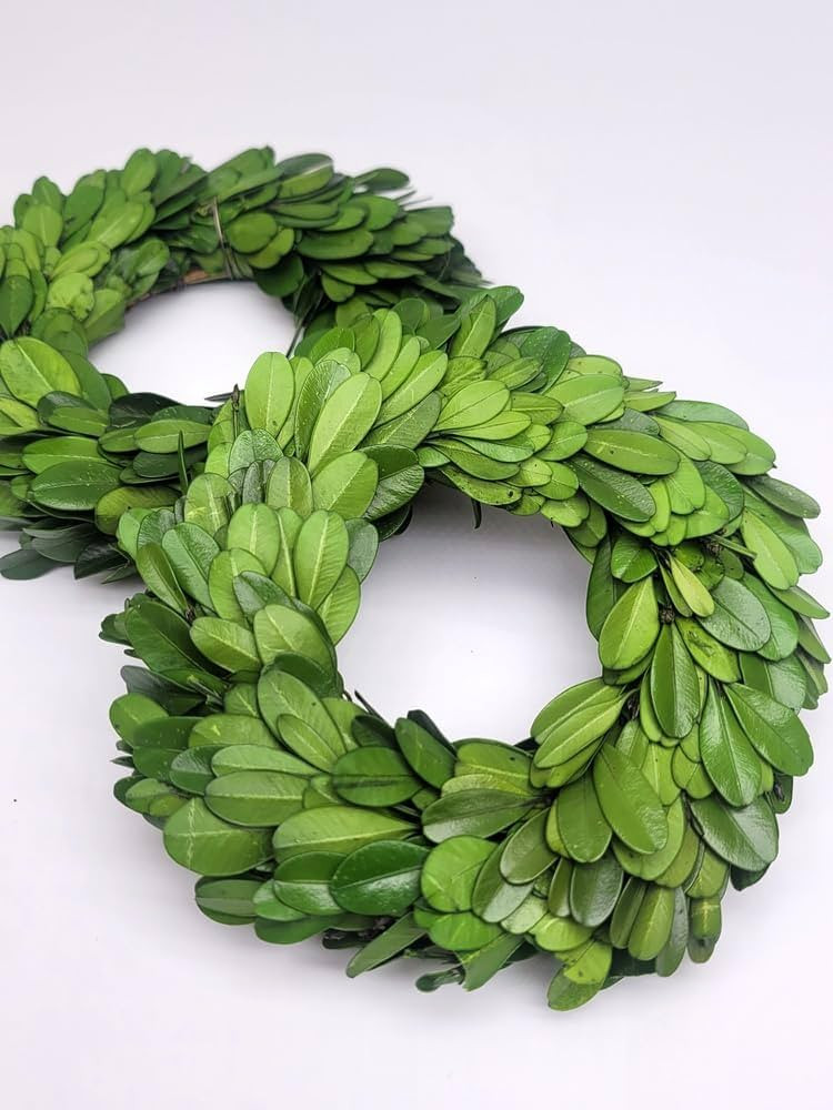 Preserved Boxwood Mini Wreath - Single Sided 4.5 Inch Set of 2 Wreath/Candle Ring | Amazon (US)