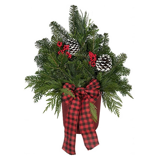 National Plant Network DIY Porch Pot Kit at Tractor Supply Co | Tractor Supply