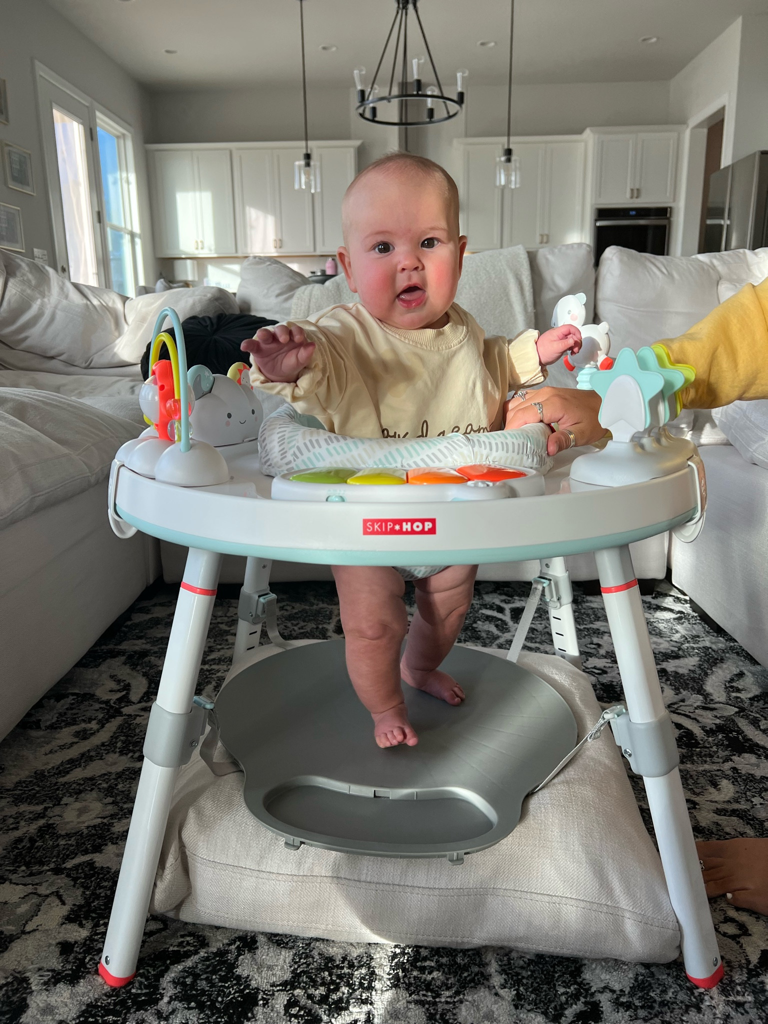 Emmy’s activity center!