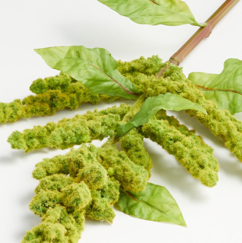 Green Artificial Amaranthus Stem + Reviews | Crate and Barrel | Crate & Barrel