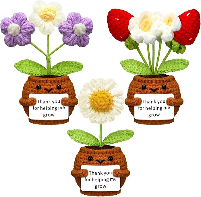 Wavwavw 3 Pcs Teacher Appreciation Gift Positive Flower Handmade Crochet Doll Thank You for Helpi... | Amazon (US)