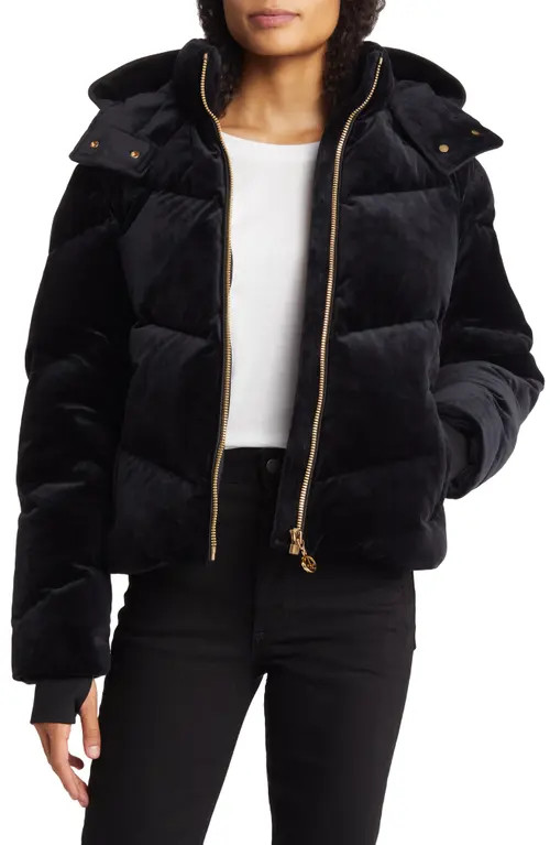 Moose Knuckles Seville Down Velvet Puffer Jacket in Black at Nordstrom, Size Medium | Nordstrom