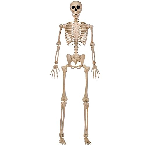JOYIN 5 FT Halloween Skeleton Life Size, Stayable Posable Skeleton Decor, Full Body Movable Joints Giant Skeletons for Halloween Decoration Outdoor, Haunted House Prop, Spooky Scary Graveyard Party | Amazon (US)