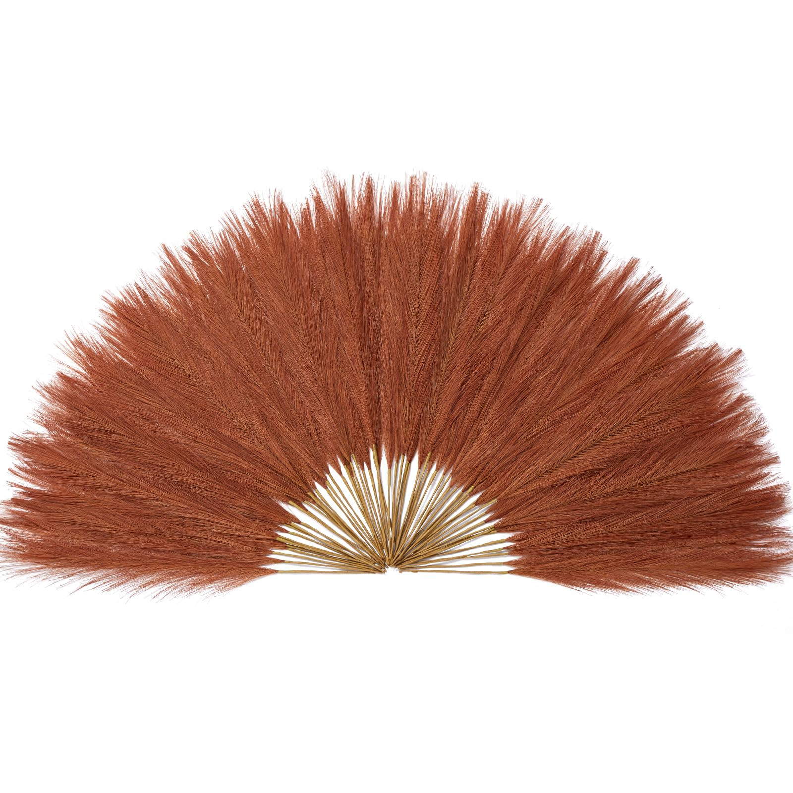 Serwalin 𝟲𝟬𝗽𝗰𝘀 Pampas Grass Decor 𝟭𝟳.𝟳𝗜𝗻𝗰𝗵, Orange Pampas Gra... | Amazon (US)
