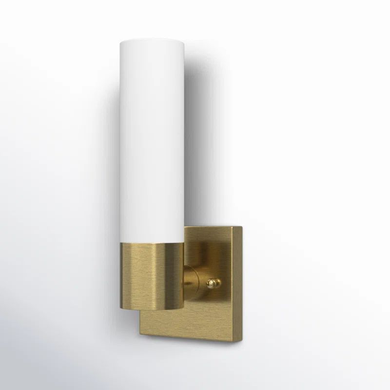 Diaz Steel Armed Sconce | Wayfair North America