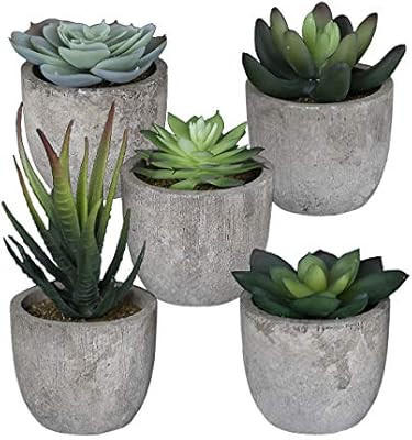 5 Pots Small Artificial Succulent Plants Mini Fake Faux Suculentas Pot For Shelf Kitchen Counter ... | Amazon (US)
