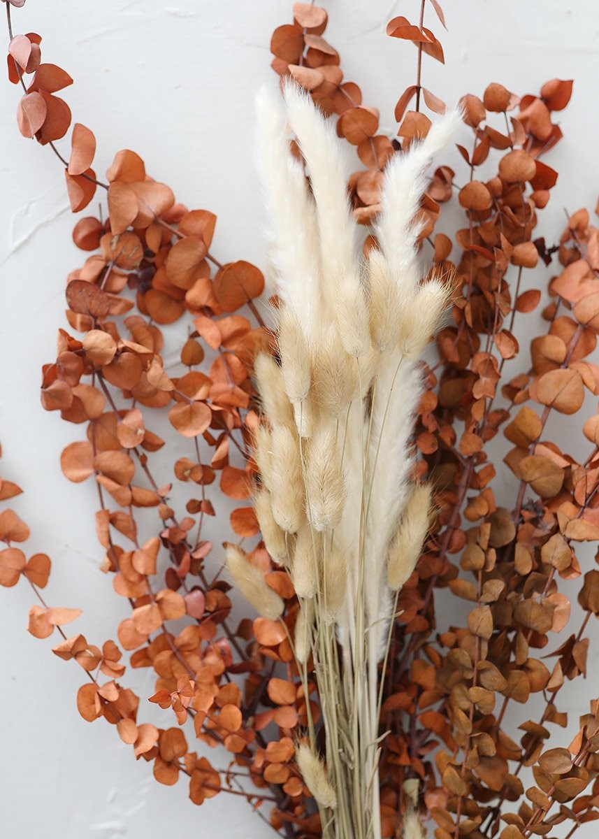 Pack of 6 - Smooth White Natural Pampas Grass - 25-29.5" | Afloral (US)
