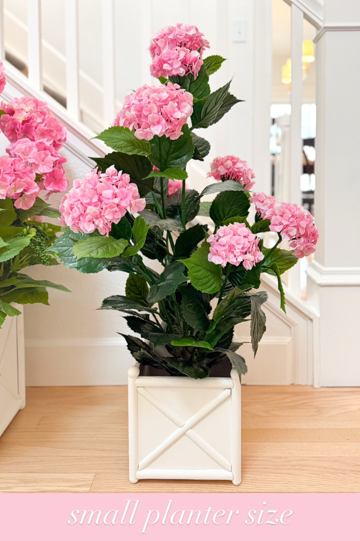 Small white planter size for my indoor/ outdoor 3 ft tall hydrangea plant 

#LTKFindsUnder100 #LTKSeasonal #LTKHome