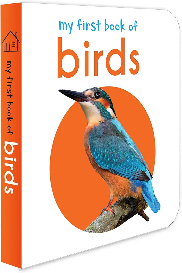 My First Book of Birds | Amazon (US)