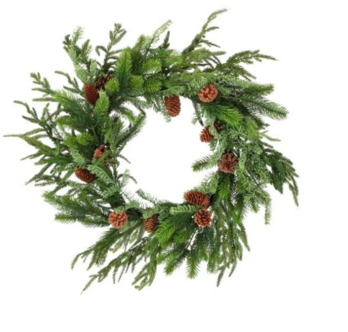 24" Norfolk/Juniper Wreath | Cottonwood Company