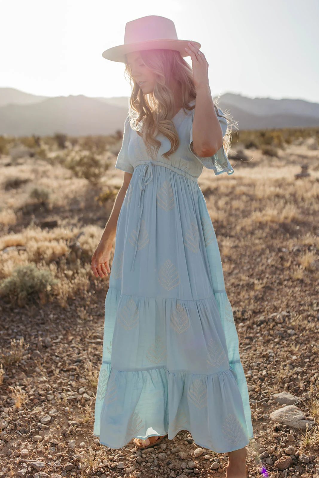 THE RAYLEIGH EMBROIDERED MAXI DRESS IN CHAMBRAY | Pink Desert