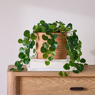 Faux Potted Trailing Leaf Plant | West Elm (US)