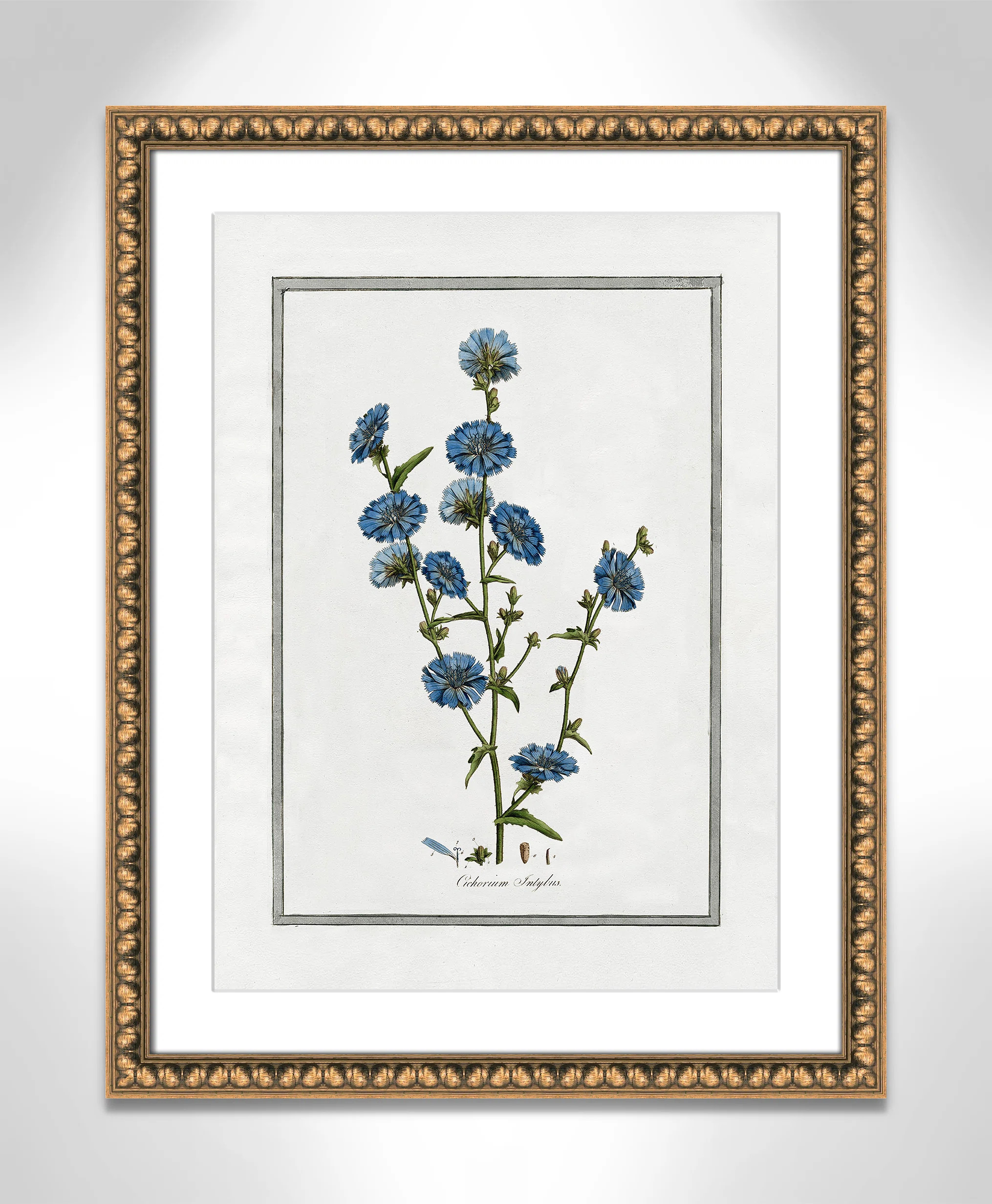 " Soft Botanical I " | Wayfair North America