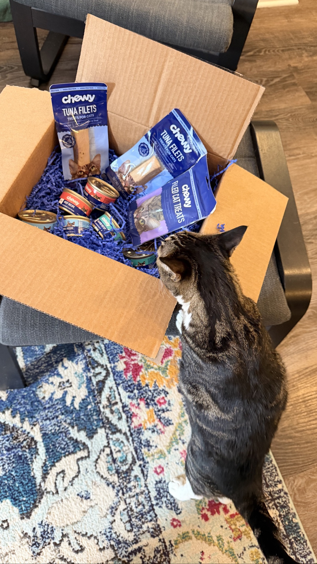Chewy sent the kitties some goodies to try and they are all huge hits! The catnip treats were probably the favorite, but all three devoured their pate cat food snack with speed and basically asked for seconds 🍽️😻

#LTKmomlife #LTKstorytime #LTKHome