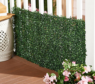 Compass Home Collapsible Faux Boxwood 19""Square Hedge | QVC