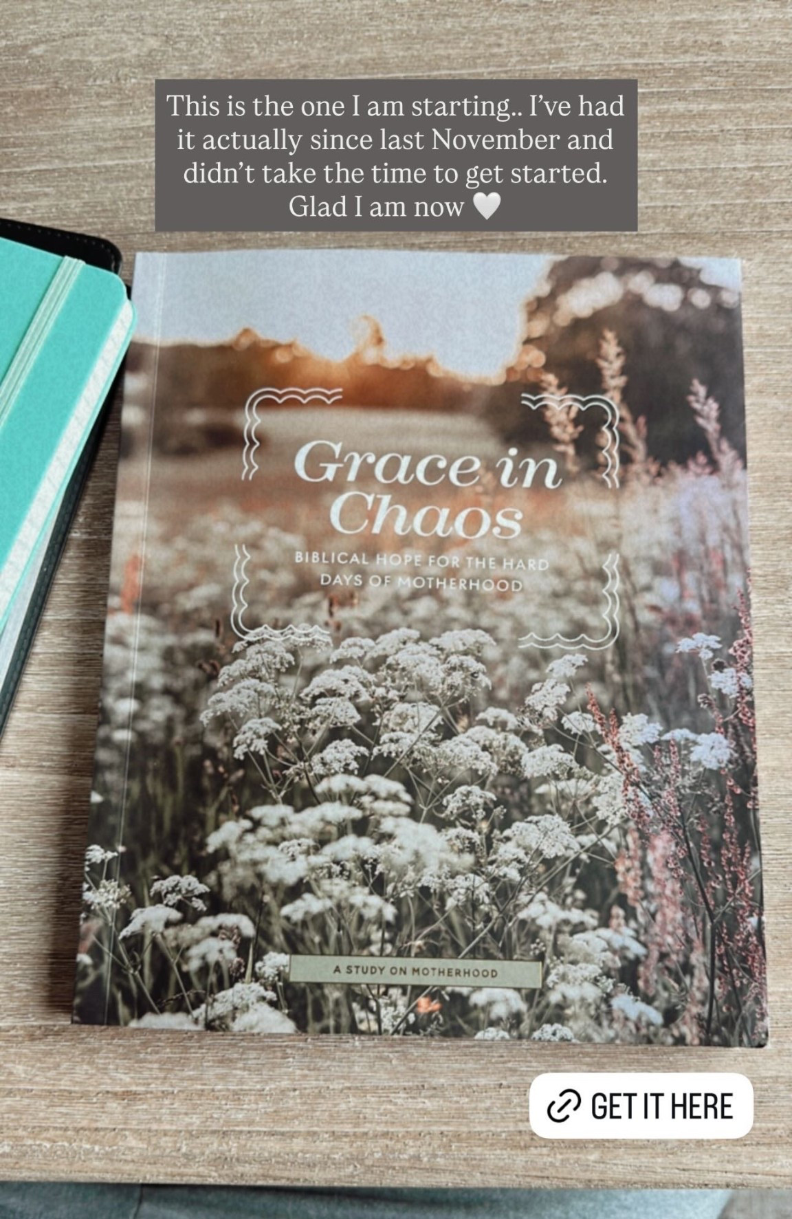 Starting “Grace in Chaos” and already loving it 🤍 A beautiful study offering biblical hope for the hard days of motherhood – so encouraging and grounding.

#motherhoodstudy #biblestudyforwomen #momdevotional #faithformoms #biblicalmotherhood #momencouragement #christianmomlife #dailydevotional #momlife #faithoverfear #graceinchaos #biblestudyresources #quiettimestudy #momspiritualgrowth #momsoffaith #scripturestudy #christianmoms #devotionalsforwomen #faithjourney #mombiblestudy