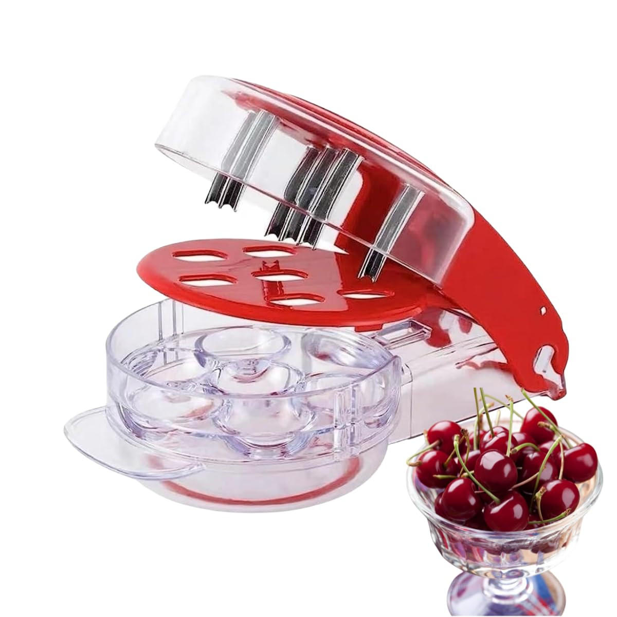 Cherry Pitter Tool PitRemover,Cherries Seed Remover 6 AtTime,Olive Pitter Tool,Cherry Pit Remover... | Amazon (US)