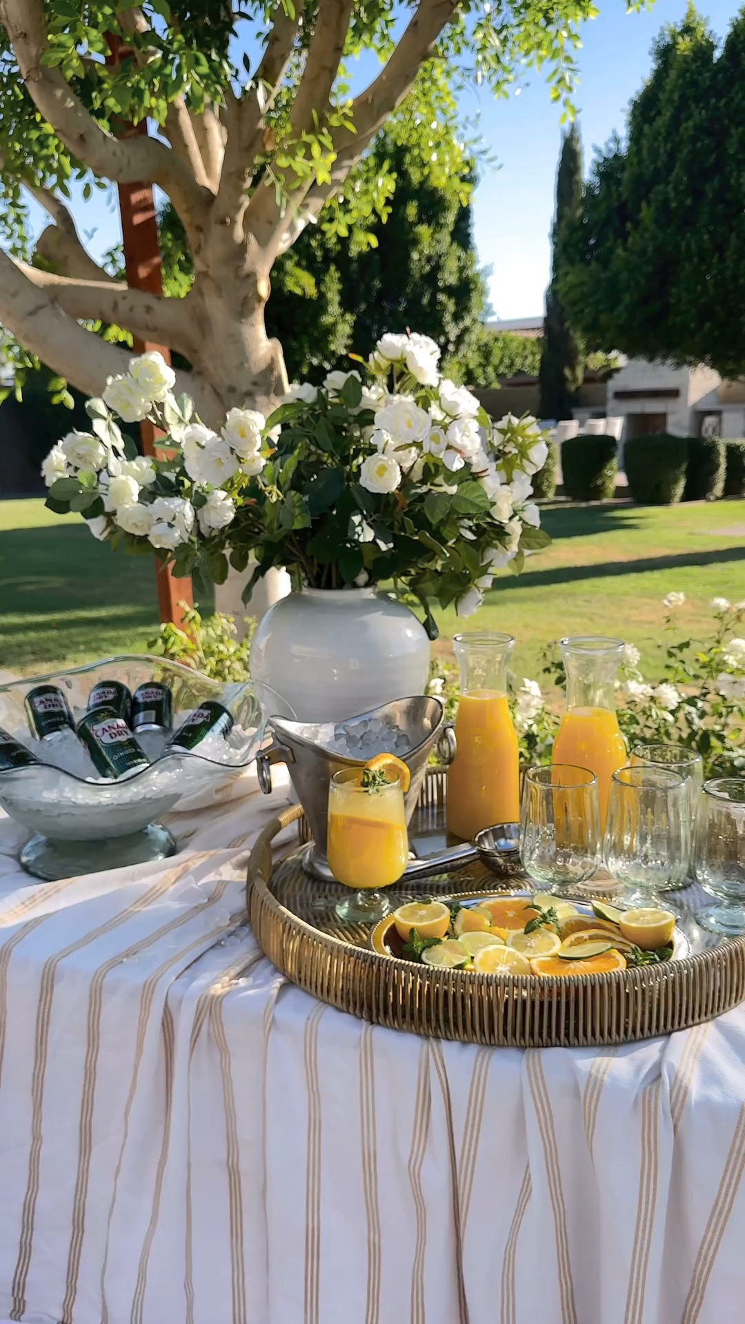 Linked everything for you! 

Girls Night | Summer Hosting | Hosting Ideas | Tablescape | Arizona | Outdoor Living