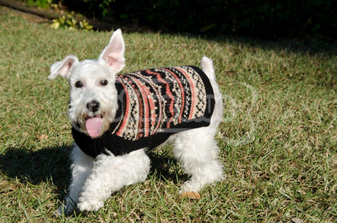 Dog sweater - "Chura" made of Alpaca wool, with beautiful earth tones and salmon hues | Etsy (US)