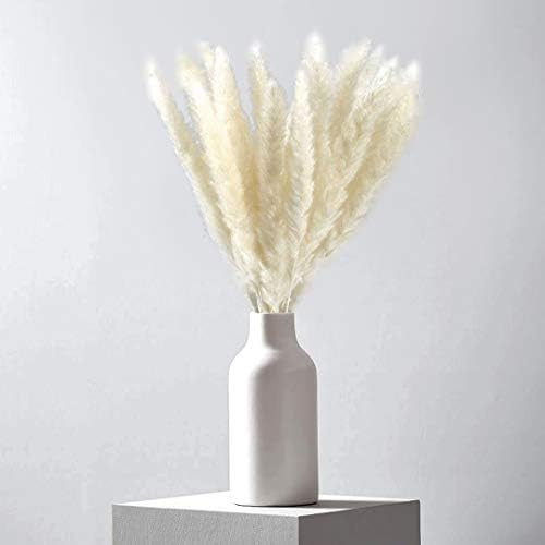 Luxury Box Protected Pampas Grass Decor - 35 Pieces, 17" Ivory Creamy White Decor, Boho Decor, Grass | Amazon (US)