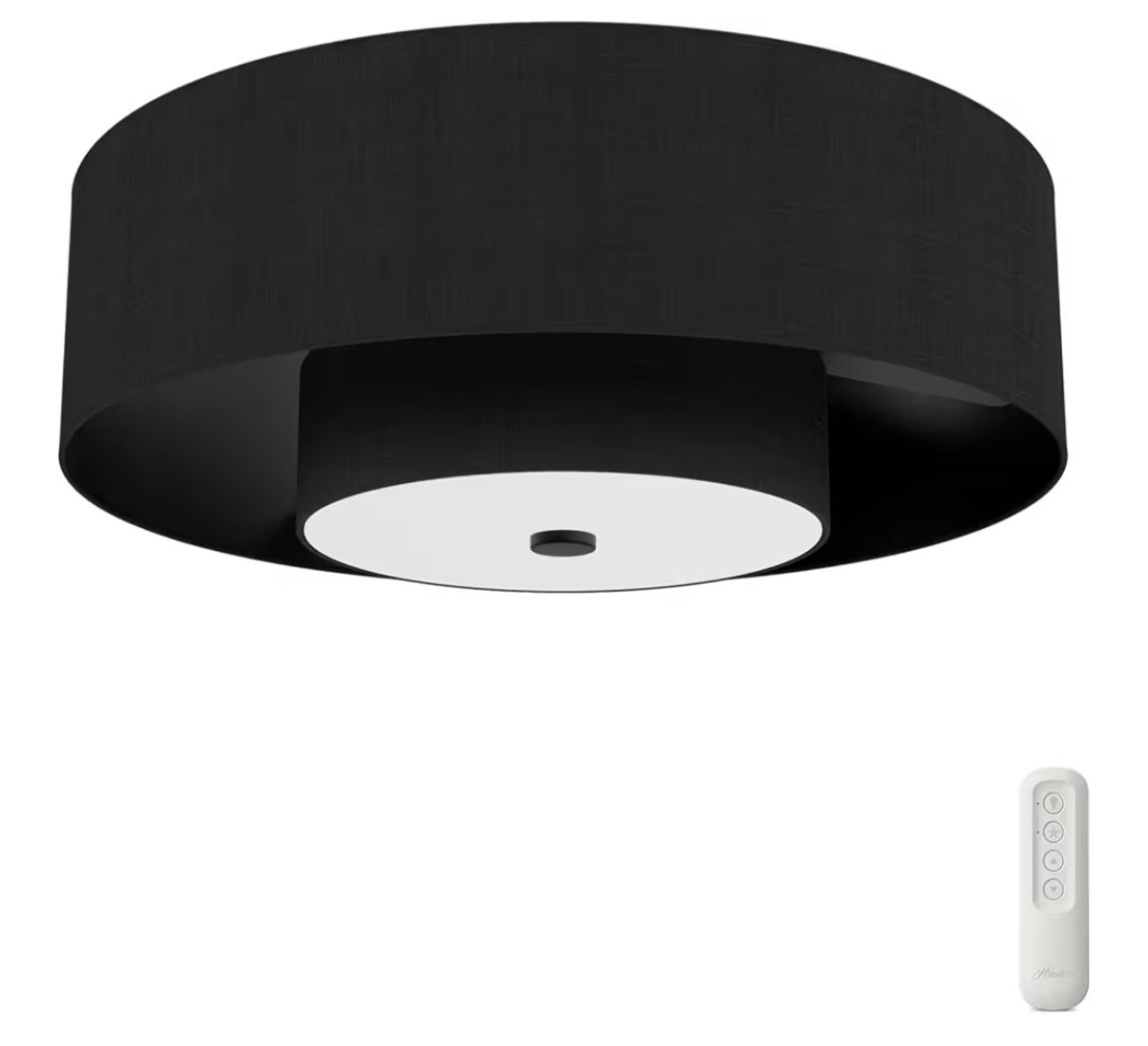 Fandelier - Hunter - Brookside Indoor Fandelier with Light, Remote, 30-inch, Casual-Style, 3-Speed WhisperWind Motor, Ceiling Fans for Living Rooms, bedrooms, Home Offices, Kitchens 

Looks great in every room! Stylish and practical! 

#fandelier #homedecor #homeremodel #remodelideas #lightfixtures #ceilingfans

#LTKHome #LTKmomlife #LTKdayinmylife