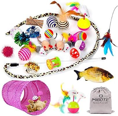 Mibote 30 Pcs Cat Toys Kitten Toys Assorted, Cat Tunnel Catnip Fish Feather Teaser Wand Fish Fluf... | Amazon (US)