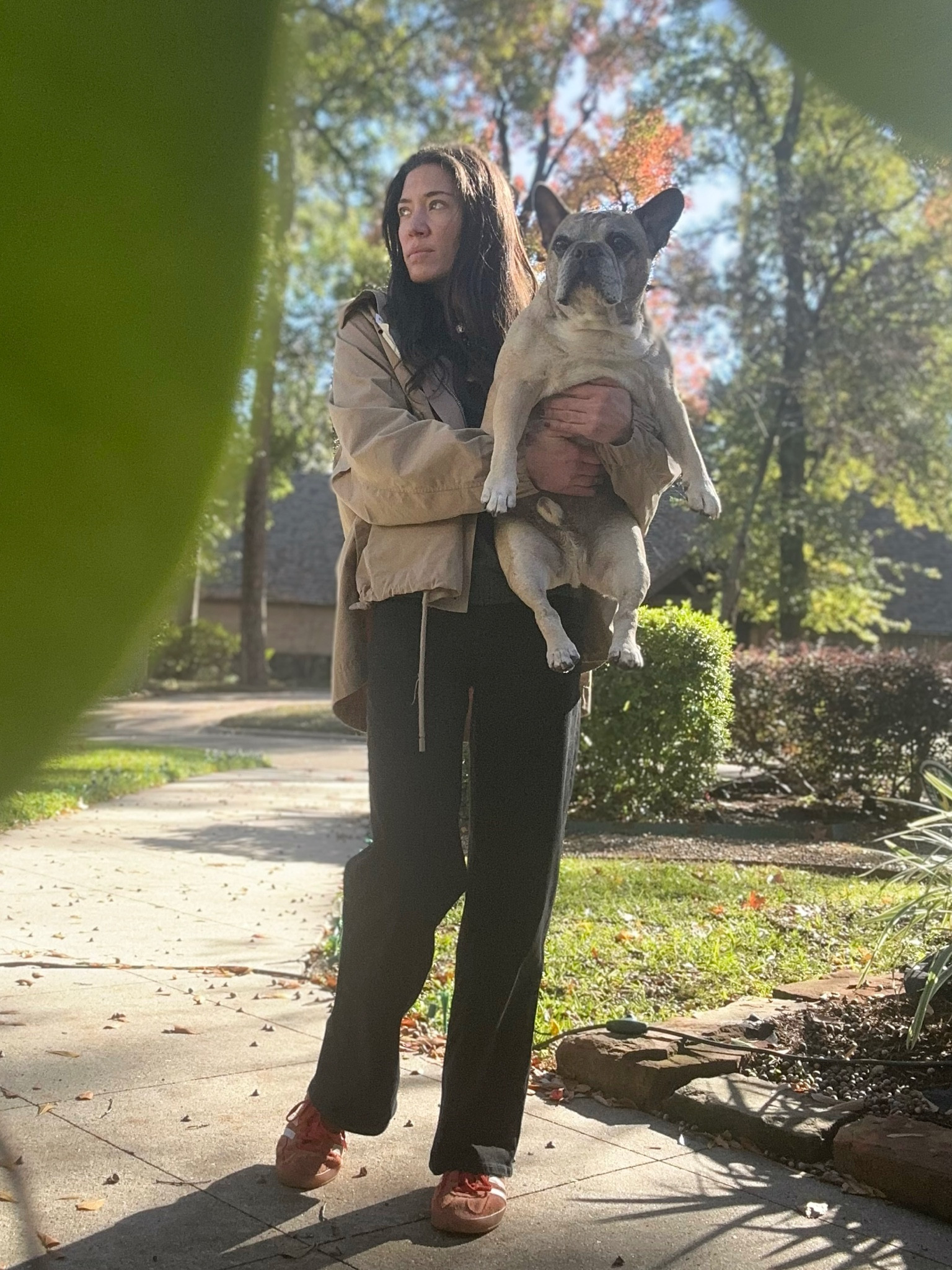 these madewell jeans are my new favorite weekday WFH pants 