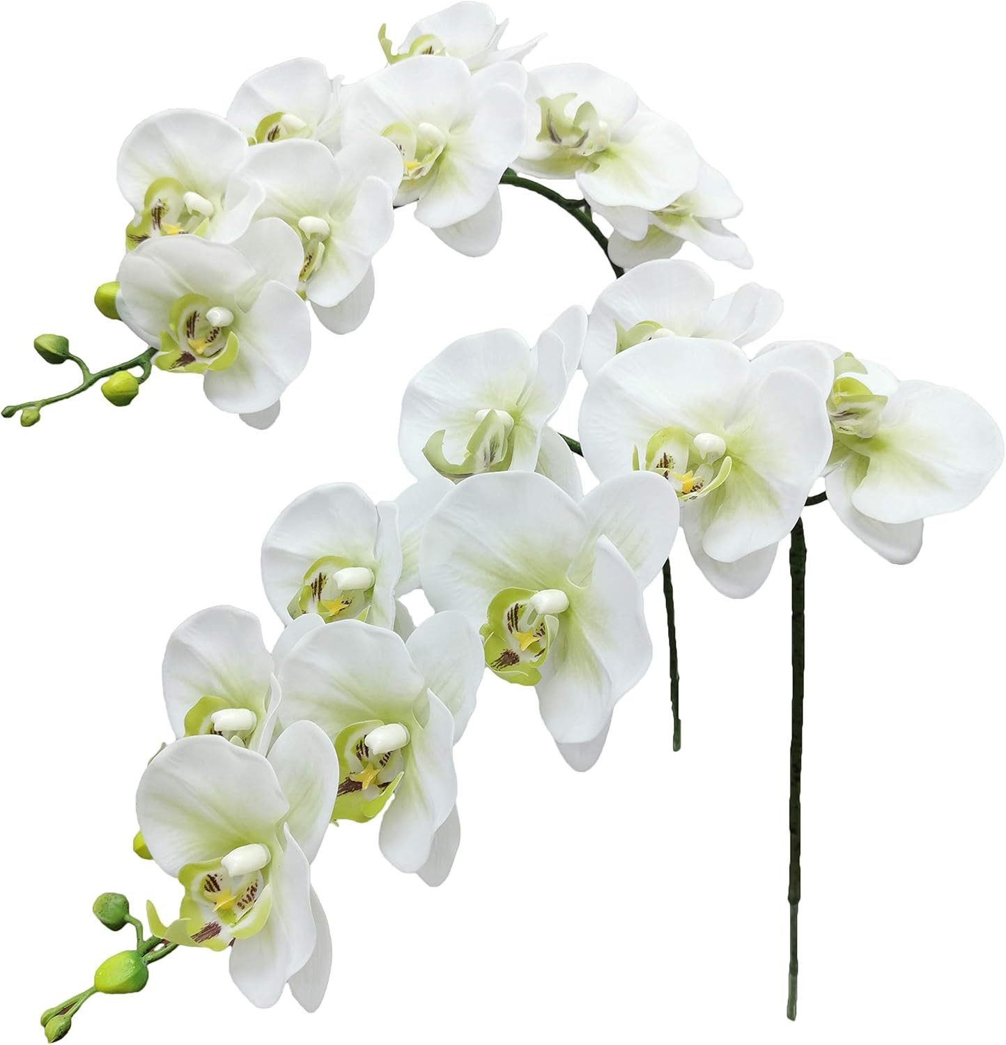 Fnize Faux Orchid Stems Real Touch Artificial Phalaenopsis Flowers Latex Petals 38 Inches 2pcs (G... | Amazon (US)