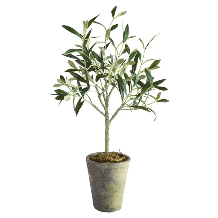 Faux Olive Tree Tree in Ceramic Pot | Wayfair North America