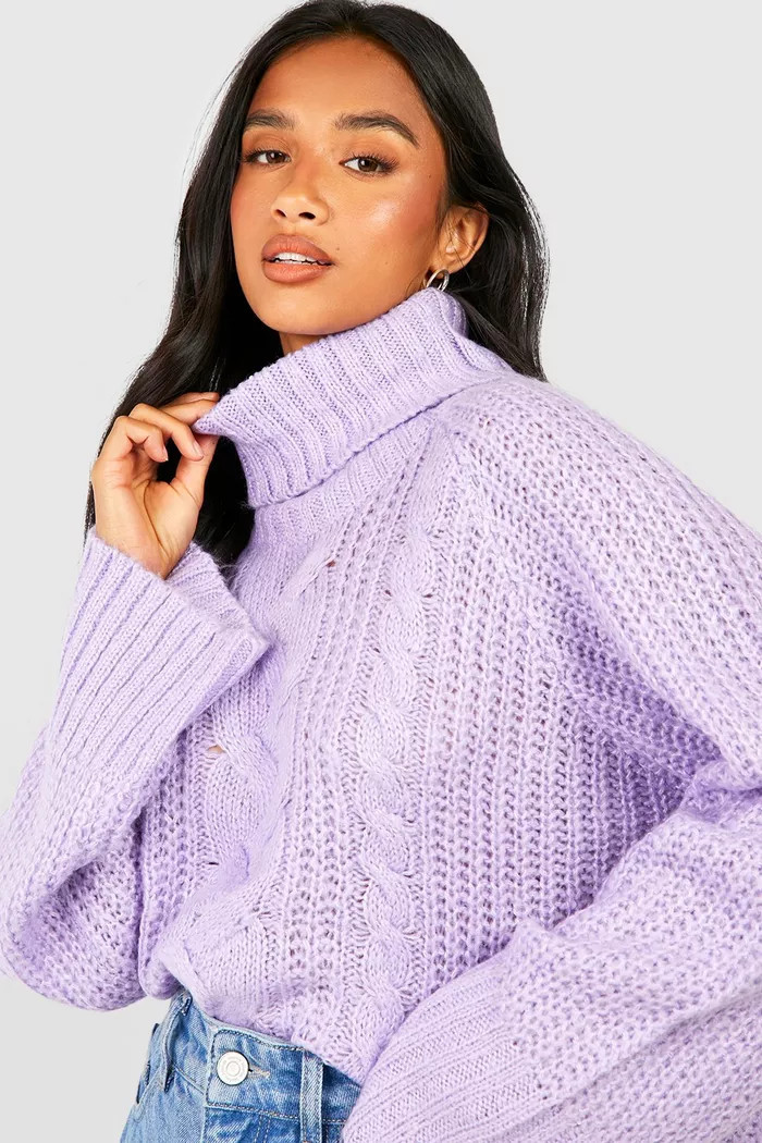 Petite Roll Neck Cable Jumper | boohoo (US & Canada)