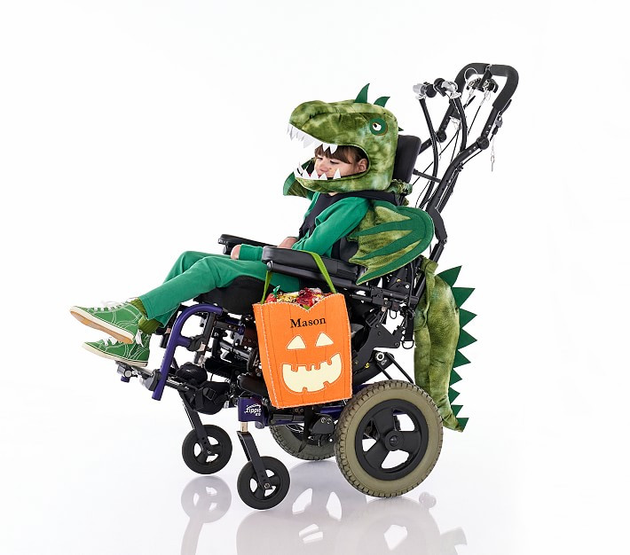 Kids Adaptive Dino Costume Accessory Set | Pottery Barn Kids | Pottery Barn Kids