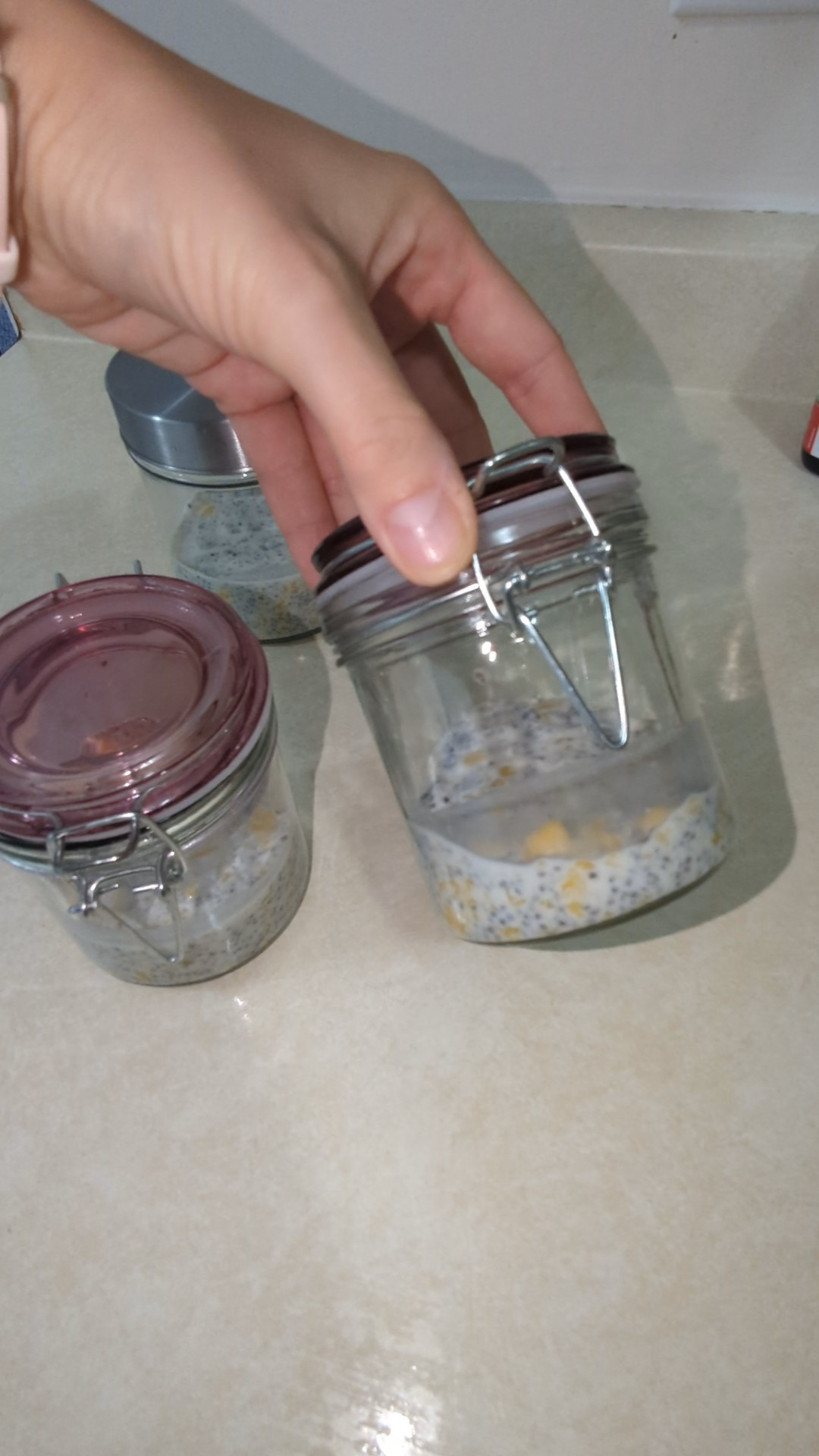 Meal Prep, Meal Prep Jars, Overnight Chia Pudding, Overnight Oats, Airtight Glass Containers, Glass Jars

#LTKcanada #LTKfamily #LTKgiftguide