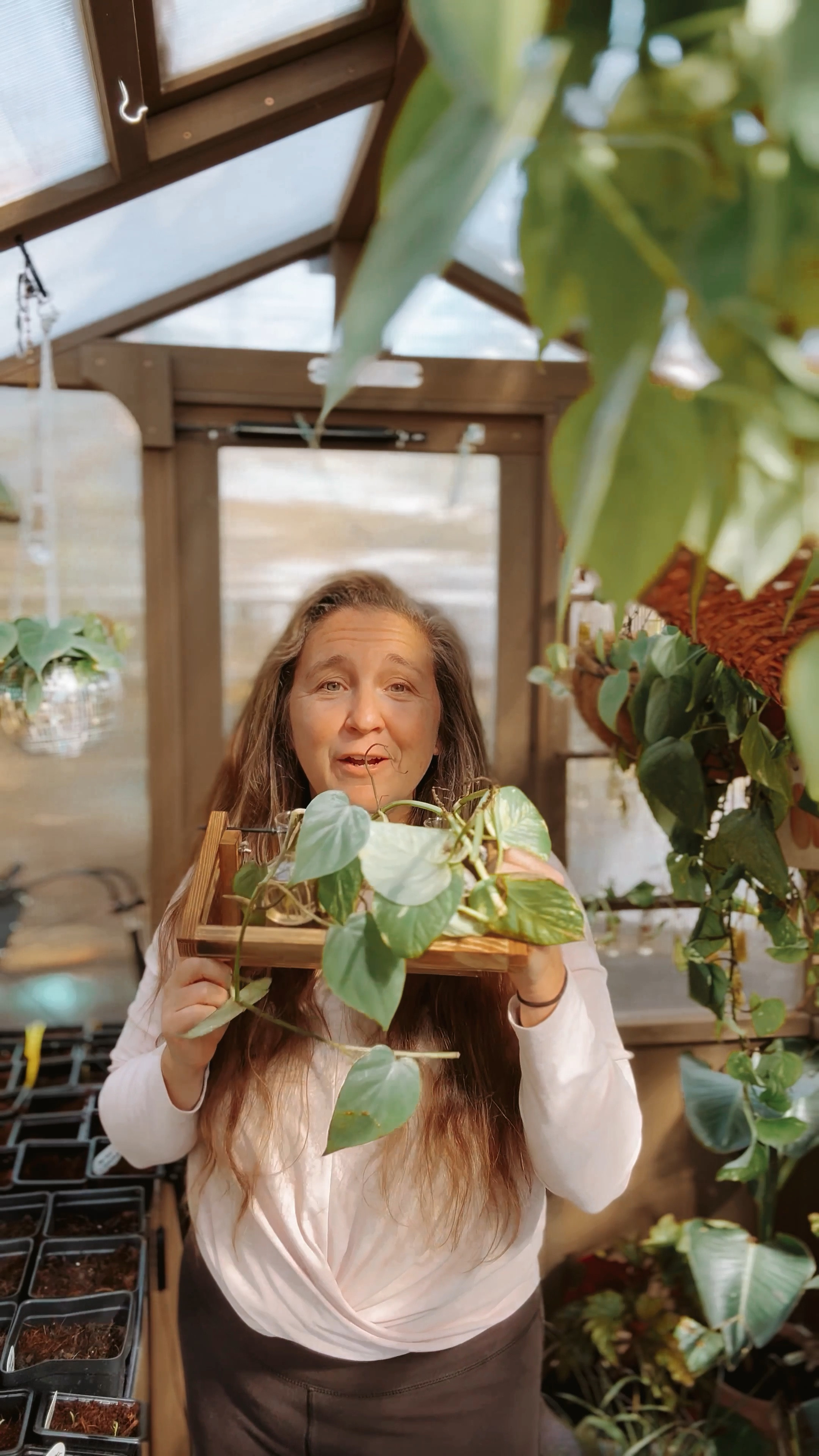 Plant propagation tip + cute propagation vessel ideas! 🌱🌱

#plants #plantdecor #boho #planttips

#LTKWatchNow #LTKGiftGuide #LTKHome