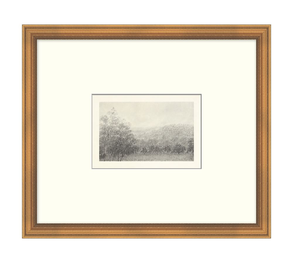 Charcoal IV Forest Hills by Aileen Fitzgerald | Pottery Barn (US)