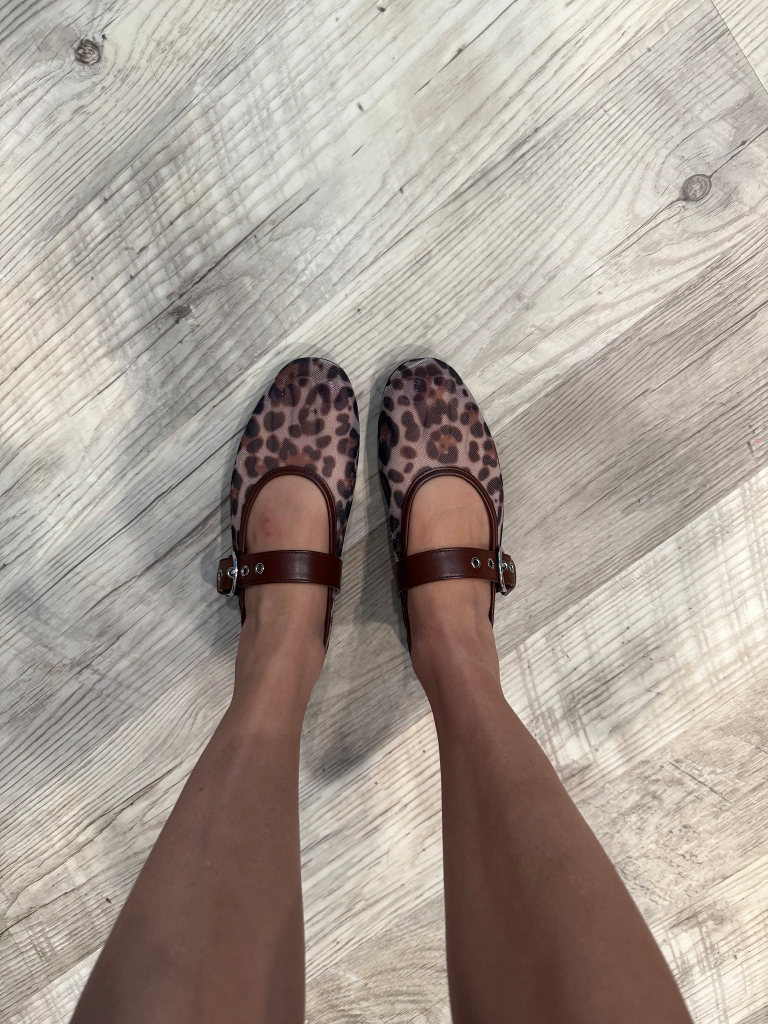 Leopard mesh flats for small

#LTKShoeCrush
