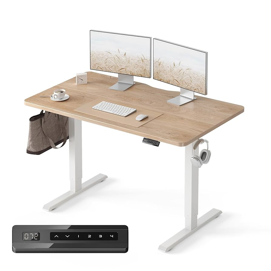 FEZIBO Standing Desk, 48 × 24 Inches Electric Height Adjustable, Sit and Stand Up, Computer Offi... | Amazon (US)