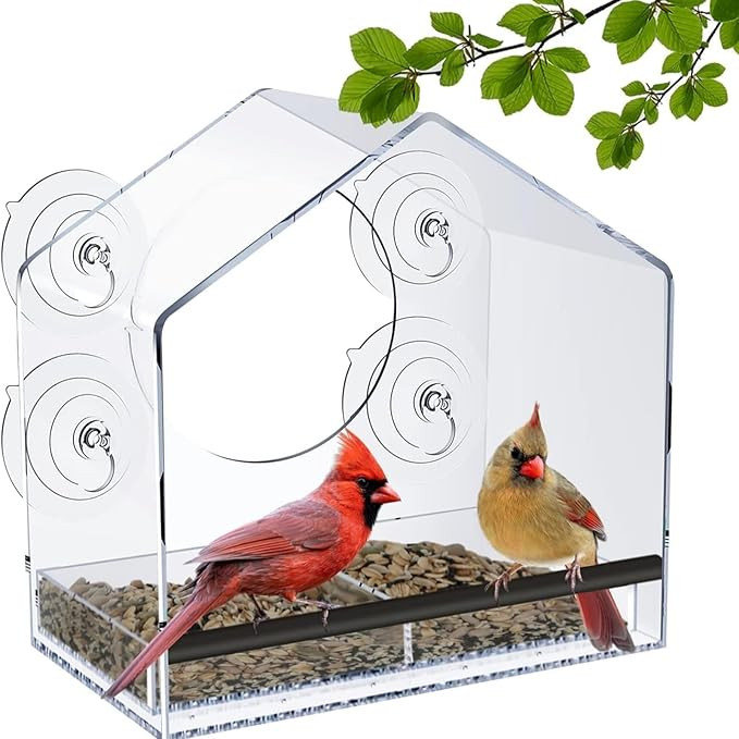 Window Bird Feeder with Strong Suction Cups - Clear Window Bird Feeders for Viewing, Transparent ... | Amazon (US)