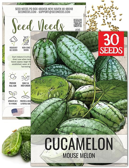 Seed Needs Cucamelon Seeds for Planting Mexican Sour Gherkin Miniature Mouse Melons - Non-GMO Hei... | Amazon (US)