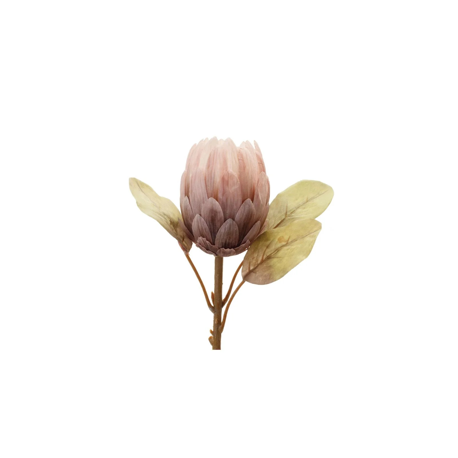 Mauve Protea Stem | Brooke & Lou | Brooke and Lou
